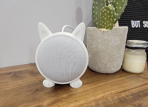 Cat google home nest - 2,