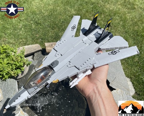 Tomcat fighter jet - fighter,