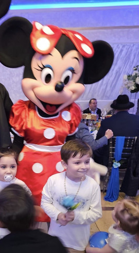 Minnie adult mascot - adult, costumes