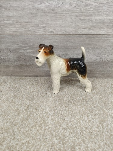 Large rare wire haired - rare,
