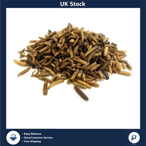 Dried calciworms wild bird - calciworms,