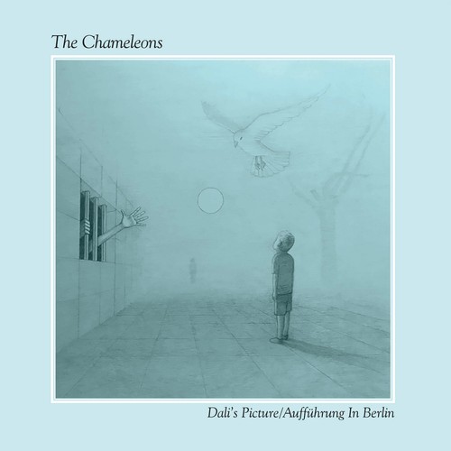 The chameleons dali picture - dali's,