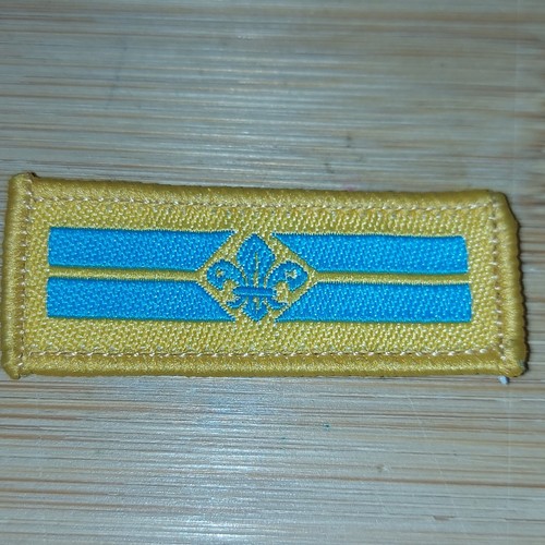 Scouting beaver scout - beaver,