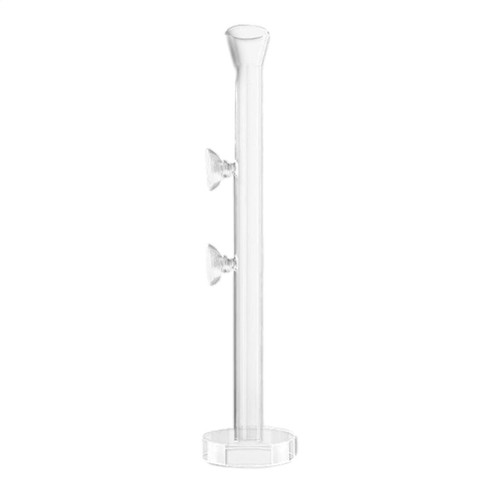 Glass clear shrimp - clear, feeding