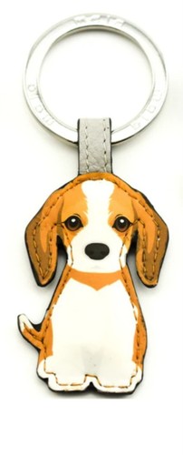 Best friends sitting beagle - friends,