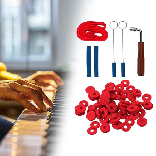 Piano tuner tool kits prevent - piano,