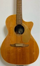 Fender Newporter Player