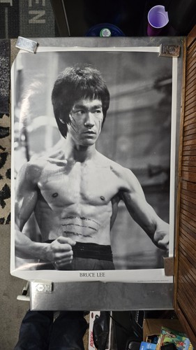 Bruce lee vintage poster - bruce,
