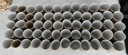 Empty cardboard toilet roll - 60,