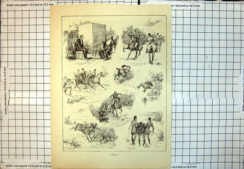 Old print style when fox - print,