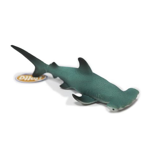 Betta hammerhead shark - betta,