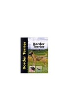 Border Terrier - Penelope
