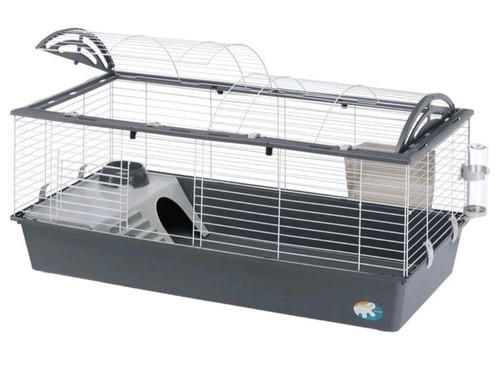 Extralarge rabbit guinea - extralarge, rabbit/guinea