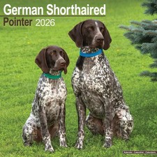 German Shorthaired Pointer Calendar 2026 - Dogs - Month To View