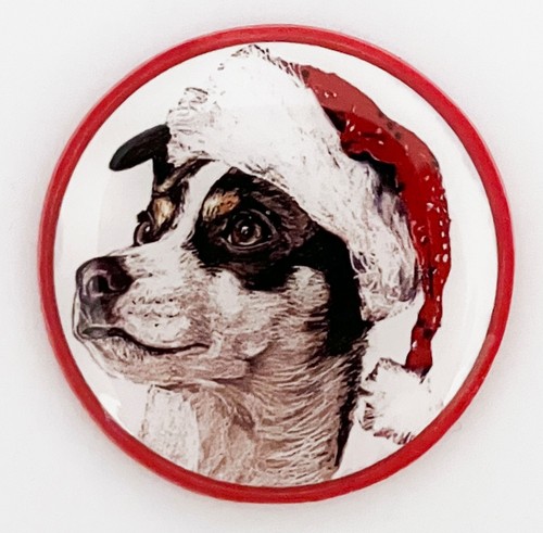 Rat terrier dog - terrier,