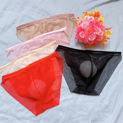 Sexy men sheer mesh panties - men's,
