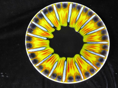 Poole large plate sunburst - large,