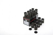 Piper Double Valve Spring Kit & Caps for Vauxhall Opel Astra H Mk5 VXR OPC