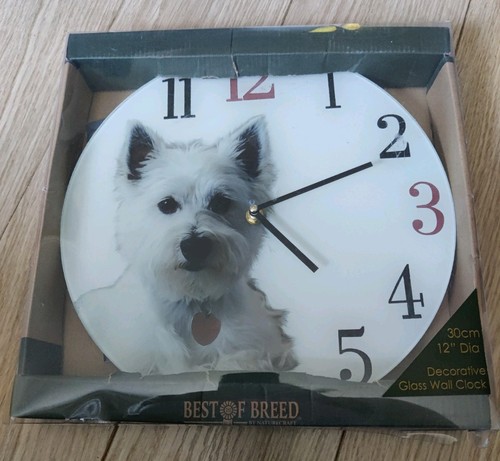 West highland terrier - highland, glass
