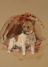 Tina the Jack Russel