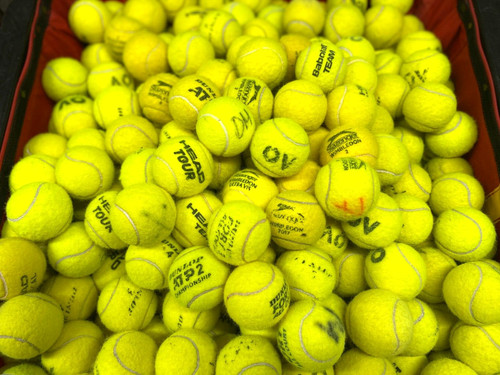 Used tennis ball for dogs - for,