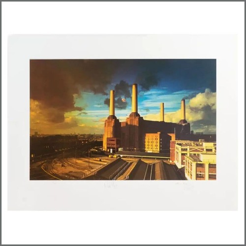 Pink floyd animals - pink, limited