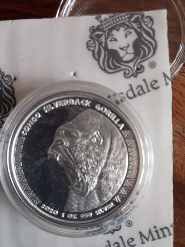 Scottsdale congo silverback