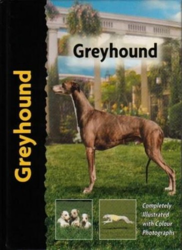 Greyhound juliette - greyhound, love)-juliette