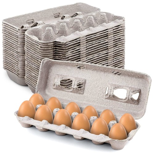 Blank natural pulp egg cartons - pulp,