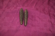 Vintage Cuckoo Clock Weights