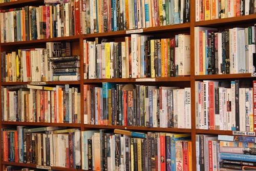 Adult fiction books - fiction,