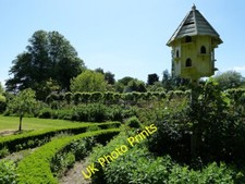 Photo 6x4 Rymans - Garden by