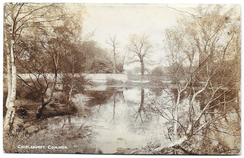 Chislehurst common kent - -,