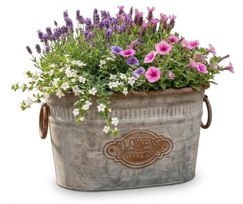 Vintage french style - french,