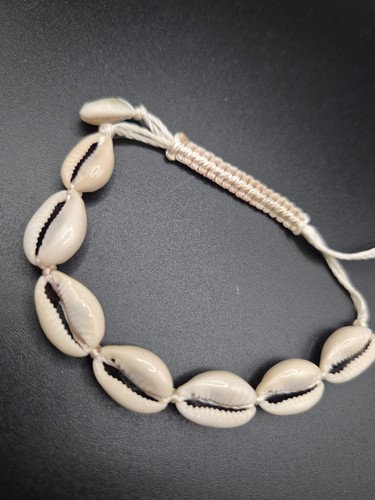 Natural cowrie shell seashell - natural,