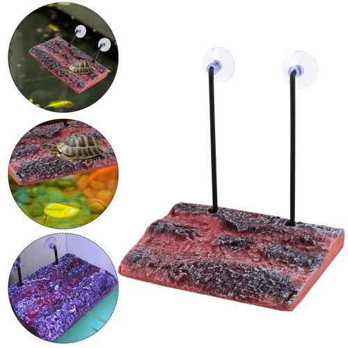 Simulation bark turtle - simulation,