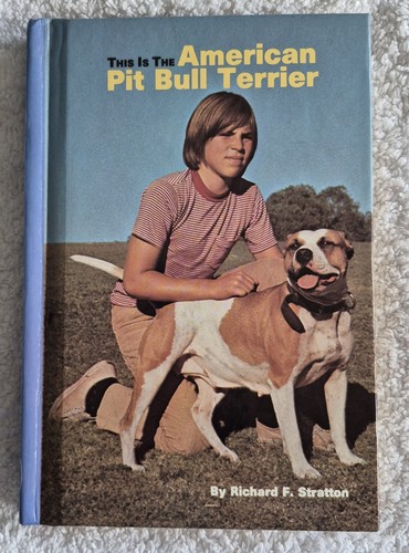 This the american pit bull - the,