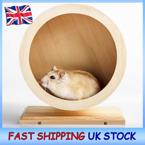 Wood hamster running wheel - hamster,