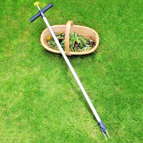 Burgon ball wonder - burgon, &