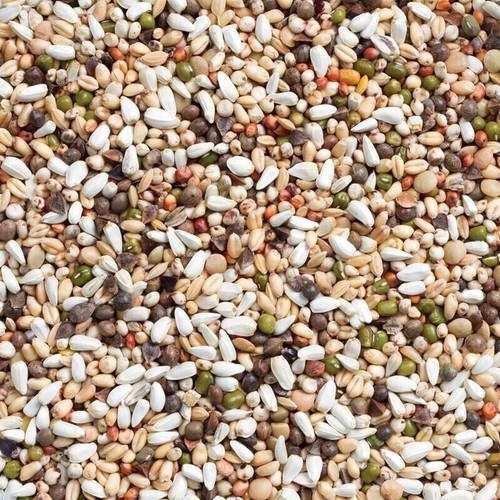 Germination seeds deli nature - seeds,