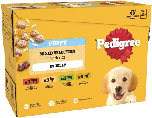 Pedigree junior wet - wet, dog
