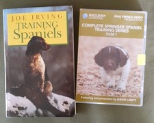 Training Spaniels Springer