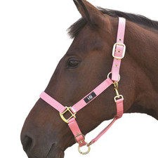 HY Horse Head Collar