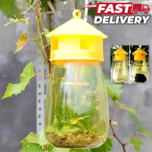 Reusable fruit fly trap killer - fruit,