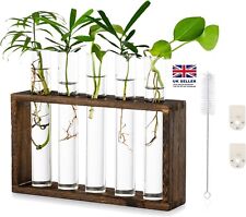 Wall Hanging Glass Planter