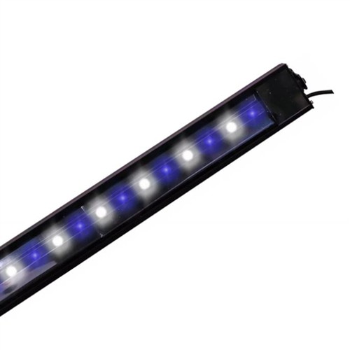 Reef brite xho - reef, led