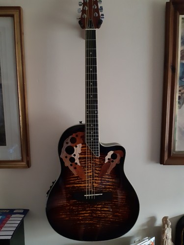Brand new electro acoustic - brand,