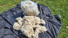 Alpaca Fleece