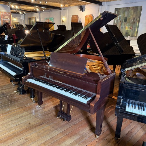 Bluthner model grand piano - model,
