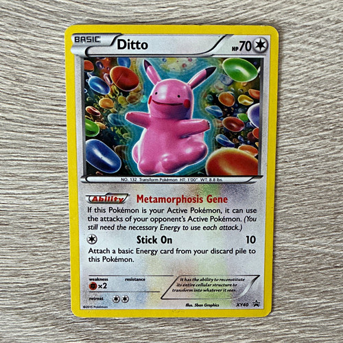 Ditto xy40 black star - xy40,